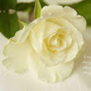 Meet your Posher, Sarojini